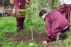 Reforestan Escuelas de “El Coahuayote”