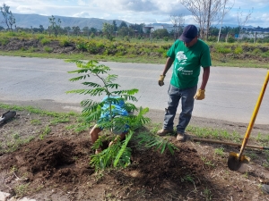 Reforestan el Andador del Ingreso Norte en Zapotiltic